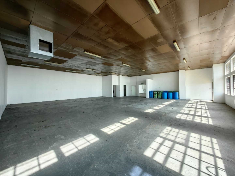 To Let commercial Property for Rent in University Estate Western Cape